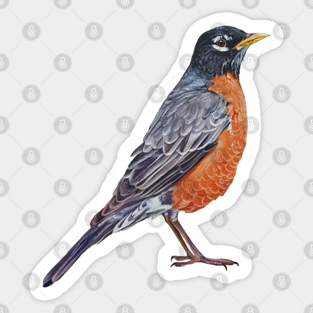 American Robin - bird painting (no background) Sticker by EmilyBickell